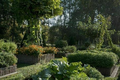 Découverte dun jardin dinspiration médiévale Château de la Motte