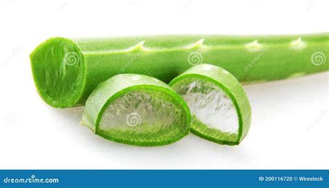 Hojas De Aloe Vera En Rodajas Aisladas En Un Fondo Blanco Foto De