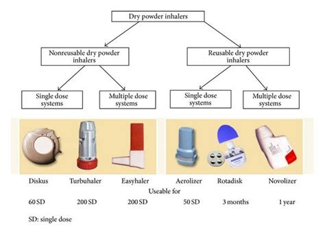 Examples Of Dry Powder Inhalers From 57 Inhalers Powder Respiratory Therapy White Out Tape