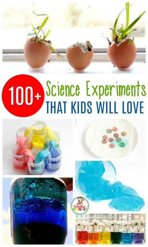 Biology Experiments For Kids