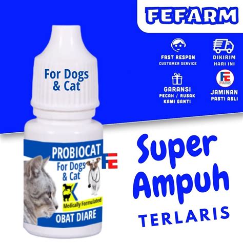 Jual Obat Kucing Mencret Diare Gangguan Pencernaan Priobiocat Obat