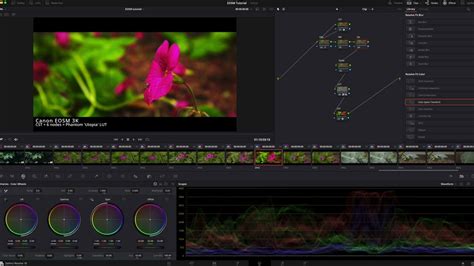 Canon EOSM RAW Workflow Davinci Resolve Tutorial 4k YouTube