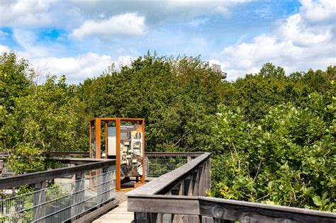 Lernstationen Am Baumwipfelpfad Baumwipfelpfad Panarbora Waldbr L