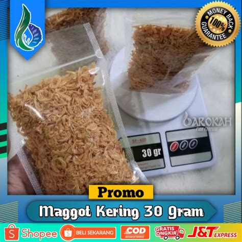 Jual UDANG EBI REBON KERING 30 GRAM PAKAN CHANNA ARWANA LOUHAN KURA