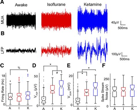 Figure From Isoflurane And Ketamine Differentially Influence