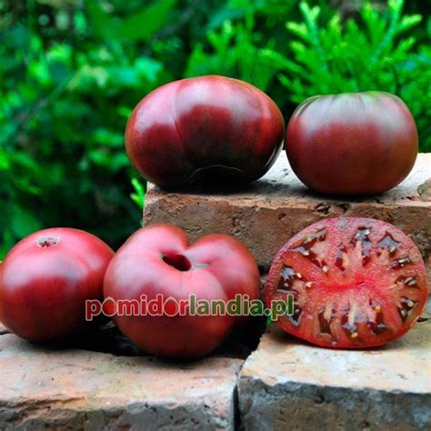 Cherokee Chocolate Nasiona Pomidory Nasiona I Sadzonki Pomidor W I