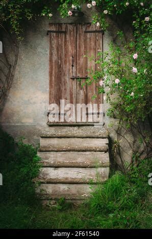 Rose Flowers With Green Ivy Leaves In A Corner Arrangement Isolated On