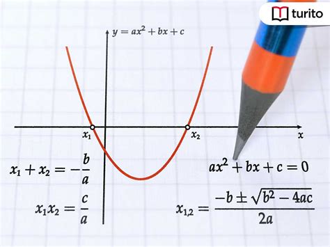 Quadratic Functions in Standard Form - Turito