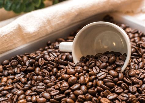 Coffee Bean Hours Ucr Entire Duration Binnacle Miniaturas