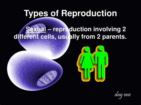 Ppt Continuity Through Reproduction Powerpoint Presentation Free