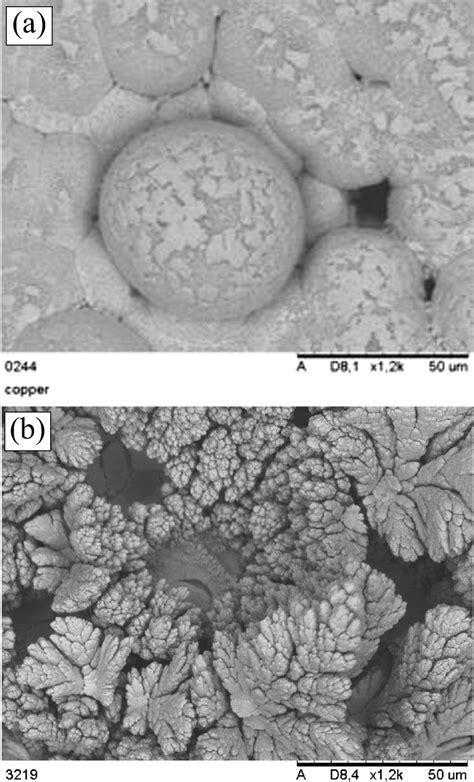 SEM images of the surface of the βPbO2 IrO2 Ti a and Download