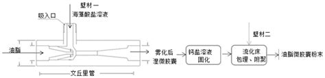 一种微胶囊及其制备方法与流程