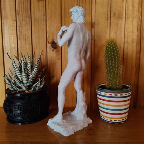 Michelangelo S Statue Of David Flawless Print Inch Sculpture Ebay