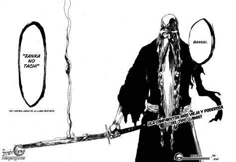 Bankai | Bleach manga, Bleach art, Manga