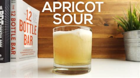 Apricot Brandy Sour Drink Recipe | Bryont Blog