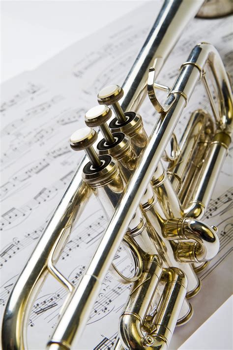 Free Trumpets Music Images Pixabay