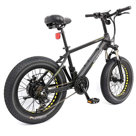 Electric Mini Bike Beach Fat Tire Electric Bike 20 inch 36V 350W | hotebike