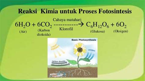 Proses Reaksi Kimia Dan Jenis Jenis Reaksi Kimia 187 Maglearning Id Riset