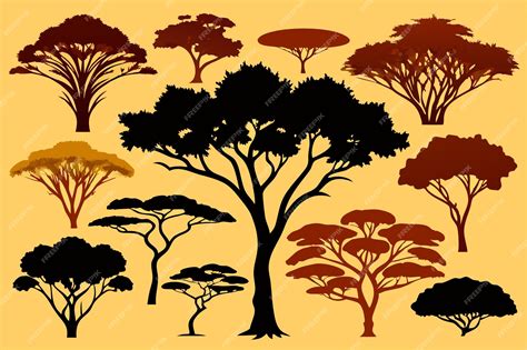 Premium Vector Acacia Tree Vector Collection Set Of Black And White