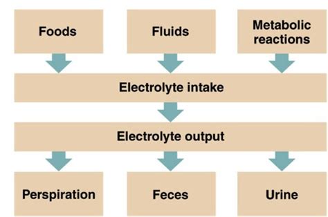 Fluid Electrolyte Acid Base Imbalances Flashcards Quizlet