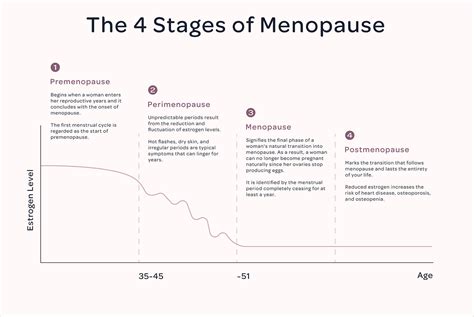 What Are The Stages Of Menopause Revivele