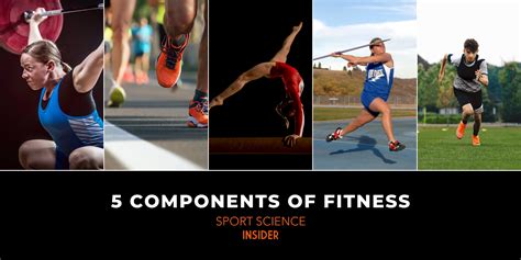 Components of Fitness – Sport Science Insider