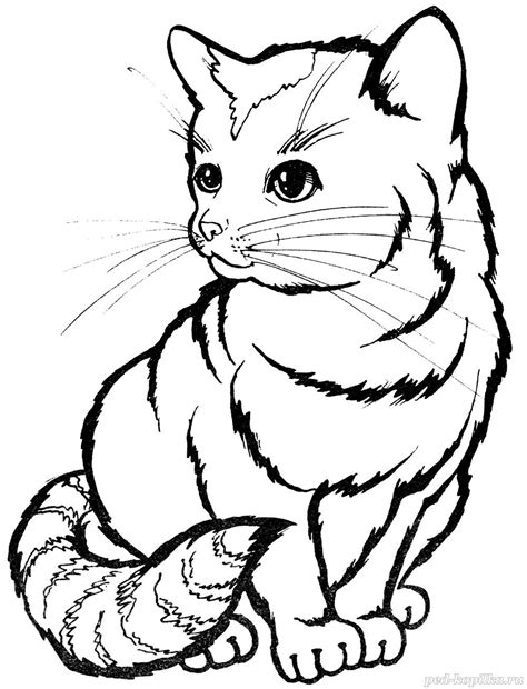 Раскраска. Котик. Задумчивый котёнок