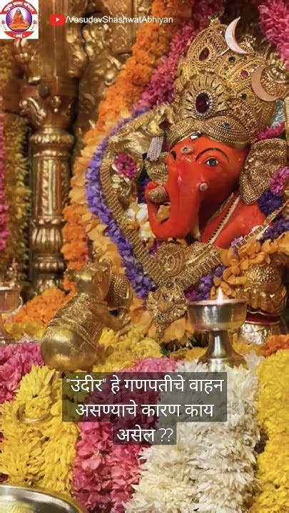 उंदीर हे गणपतीचे वाहन का आहे याचे उत्तर तुम्हाला माहिती आहे का Ganpati Spirituality