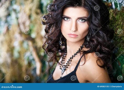 Close Up Portrait Of Gorgeous Brunette Woman With Perfect Makeup And Hairstyle Stock Image