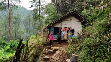 Tak Di Sangka Ada Rumah Terpencil Di Dekat Kawasan Hutan Pinus Di