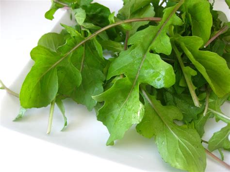 The Blueberry Files: Fennel Arugula Parm Salad