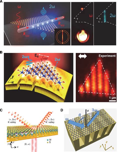 D Materials Integrated With Metallic Nanostructures Fundamentals And