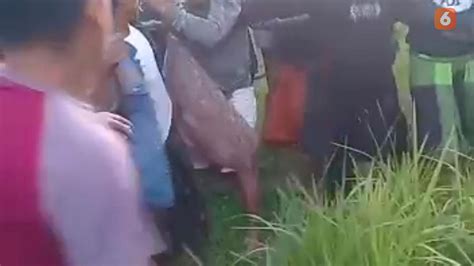 Maling Motor Di Kampung Siluman Dihajar Warga Hingga Babak Belur