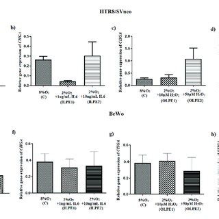 A Comparison Of Relative CHGA Gene Expression Between HTR 8 SVneo A D