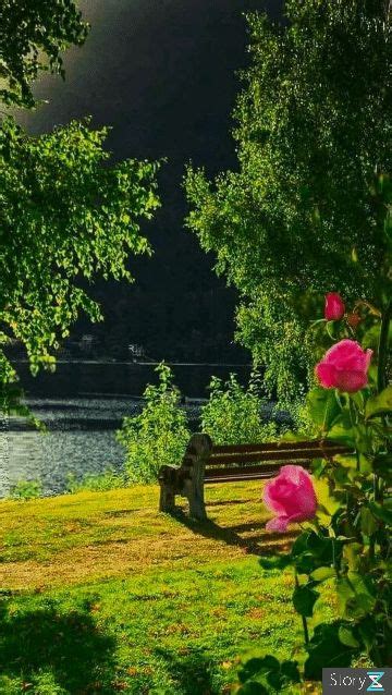 калейдоскоп | Hermosos paisajes, Hermosa fotografía de paisaje, Paisaje ...