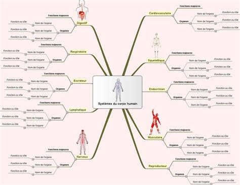 12 Besten Le Corps Humain Bilder Auf Pinterest Französische Menschen