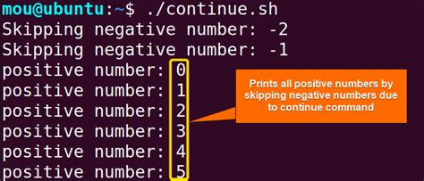 While Loop In Bash Linuxsimply