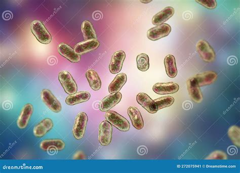 Prevotella Bacteria 3d Illustration Gram Negative Anaerobic Bacteria