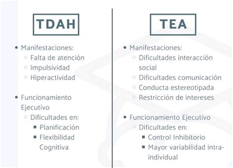 ¿qué Diferencia Hay Entre El Autismo Y El Tea