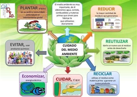 Elabora Un Mapa Mental En El Cual Describas Razones Para Cuidar El