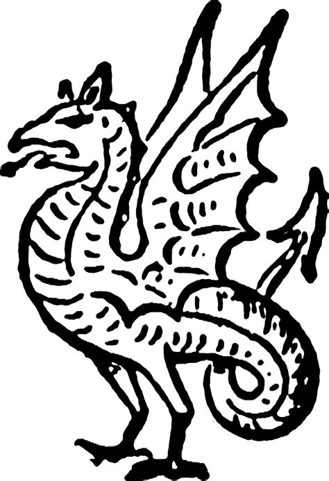 Wyvern vintage illustration. 13562265 Vector Art at Vecteezy