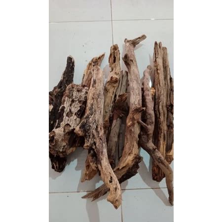 jual kayu rentek kayu lapuk aquascape size cm cm shopee indonesia