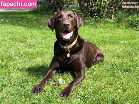 Megan Gaiga Megangaiaa Leaked Nude Photo From OnlyFans Patreon