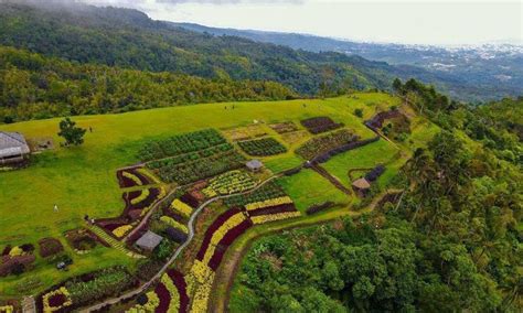 Puncak Bukit Tetetana Menikmati Panorama Kota Manado Dari Ketinggian