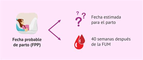 Cu Les Son Los M Todos Para Calcular La Fecha Del Parto