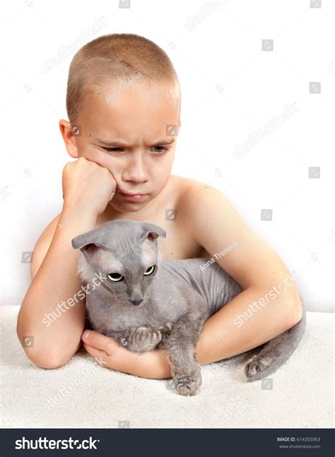 Naked Lopeared Cat Breed Ukrainian Levkoy Stock Photo Shutterstock