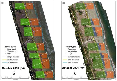 Vegetation cover change maps between 2016 (a) and 2021 (b). | Download ...