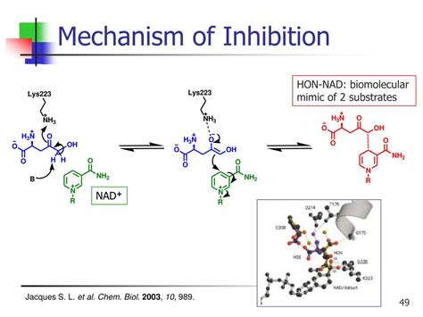 Ppt Recent Advances In Antifungal Drug Development Powerpoint Presentation Id1699743