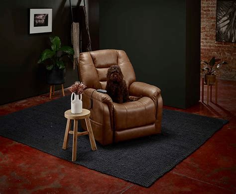 Theorem Power Lift Recliners Electric Recliner And Lift Chair