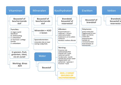 Hoofdstuk 11 Schema Vitaminen Mineralen Koolhydraten Vetten Water